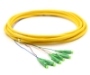 Picture of 3m, 6 Fiber LC/APC Pigtail, Single-mode, OS2