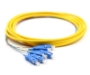 Picture of 3m, 6 Fiber SC Pigtail, Single-mode, OS2