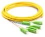 Picture of 3m, 6 Fiber SC/APC Pigtail, Single-mode, OS2