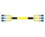 Picture of 6 Fiber Single-mode Custom Fiber Cable Assembly
