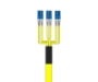 Picture of 6 Fiber Single-mode Custom Fiber Cable Assembly