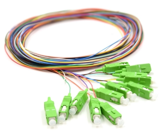 Picture of 3m, 12 Fiber SC/APC Pigtail, Single-mode, OS2