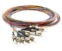 Picture of 3m, 12 Fiber ST Pigtail, Single-mode, OS2