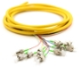 Picture of 3m, 12 Fiber FC/APC Pigtail, Single-mode, OS2