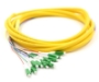 Picture of 3m, 12 Fiber LC/APC Pigtail, Single-mode, OS2