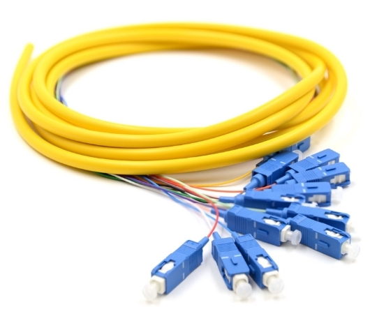 Picture of 3m, 12 Fiber SC Pigtail, Single-mode, OS2