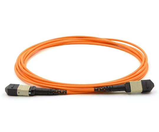 Picture of 10m, 12 Fiber MTP Cable, Multimode OM1, MTP - MTP