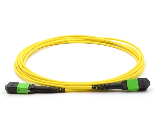 Picture of 1m, 24 Fiber MTP Cable Single-mode, Pin 1-13