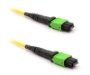Picture of 2m, 12 Fiber MTP Cable, Single-mode, MPO - MPO