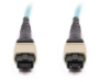 Picture of 2m, 24 Fiber MTP Cable, Multimode OM3, 100Gb