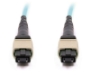 Picture of 5m, 12 Fiber MTP Cable, Multimode OM3, MPO - MPO
