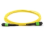 Picture of 3m, 12 Fiber MTP Cable, Single-mode, MPO - MPO
