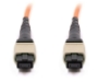 Picture of 5m, 24 Fiber MTP Cable, Multimode OM1, Pin 1-13