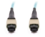 Picture of 10m, 12 Fiber MTP Cable, Multimode OM3, MTP - MTP