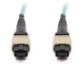 Picture of 10m, 24 Fiber MTP Cable, Multimode OM3, 100Gb 