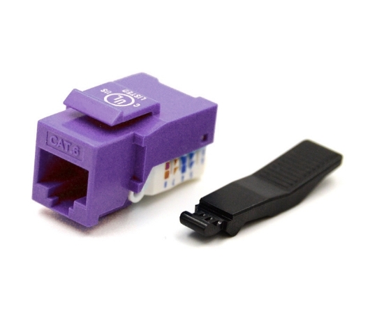 Picture of Cat5e Keystone Jack, Toolless Type, Purple