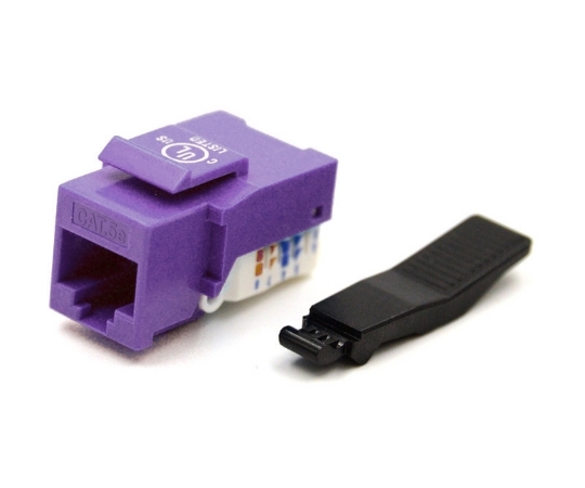 Picture of Cat6 Keystone Jack, Toolless Type, Purple