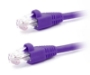 Picture of 0.5ft, Cat5e, 350MHz UTP Ethernet, Purple