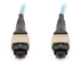 Picture of 10m, 12 Fiber MTP Cable, Multimode OM3, MTP - MTP
