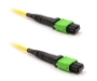 Picture of 1m, 24 Fiber MTP Cable Single-mode, Pin 1-13