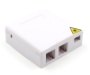 Picture of 2 Fiber Wall Outlet Box with 4 Ports,1 SC Adapter, 1 RJ45 and 1 RJ11