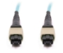 Picture of 2m, 12 Fiber MTP Cable, Multimode OM3, MTP - MTP