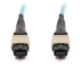Picture of 2m, 12 Fiber MTP Cable, Multimode OM3, MTP - MTP