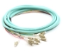 Picture of 3m, 12 Fiber LC Pigtail, Multimode, OM3