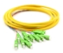 Picture of 3m, 12 Fiber SC/APC Pigtail, Single-mode, OS2