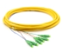 Picture of 3m, 6 Fiber LC/APC Pigtail, Single-mode, OS2