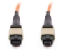 Picture of 5m, 12 Fiber MTP Cable, Multimode OM1, MTP - MTP