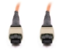Picture of 5m, 12 Fiber MTP Cable, Multimode OM1, MTP - MTP