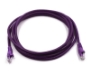 Picture of 0.5ft, Cat5e, 350MHz UTP Ethernet, Purple